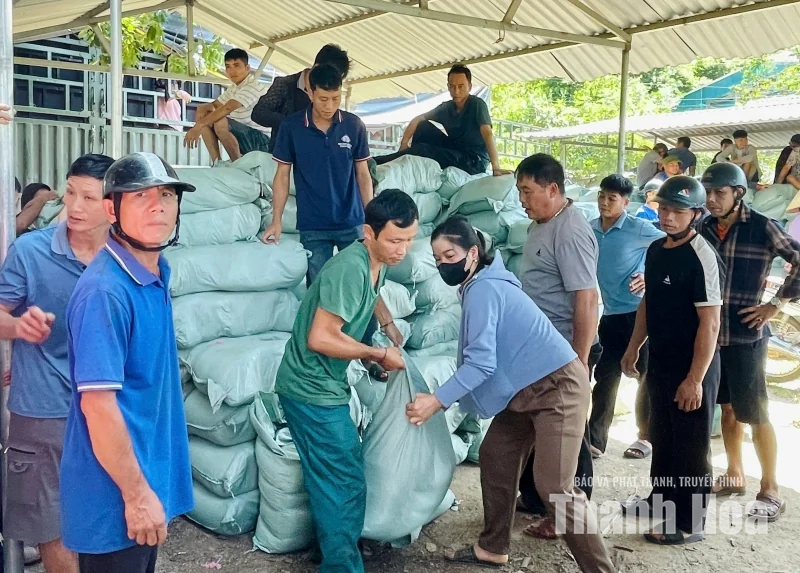 Tam Chung cấp hơn 99 tấn gạo hỗ trợ người dân tham gia bảo vệ và phát triển rừng