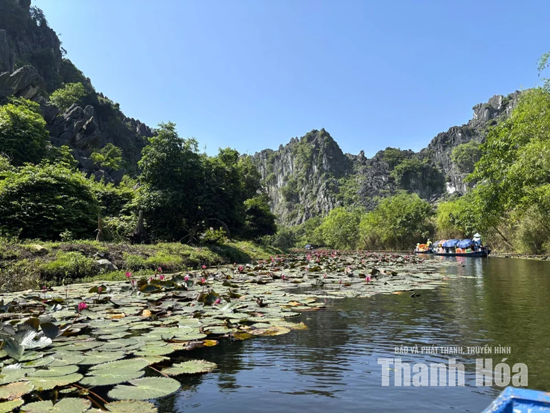 “Tràng An” của xứ Thanh vào mùa đẹp nhất