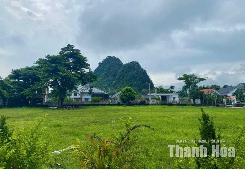 Từ vùng hoang rậm đến căn cứ cách mạng Bãi Sậy