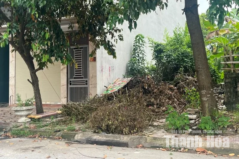 Xử lý điểm tập kết phế thải tự phát ven đường Võ Nguyên Lượng
