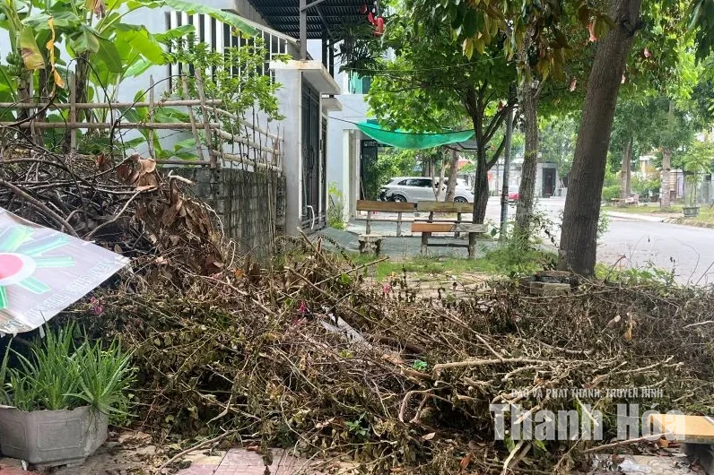 Xử lý điểm tập kết phế thải tự phát ven đường Võ Nguyên Lượng