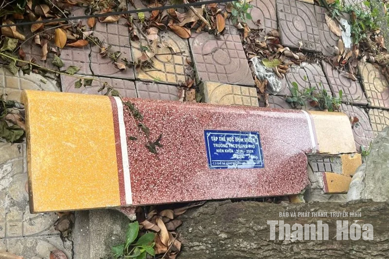 Xử lý điểm tập kết phế thải tự phát ven đường Võ Nguyên Lượng