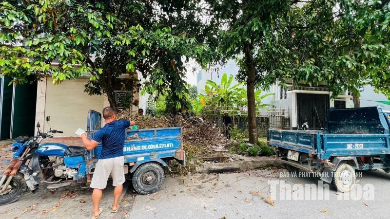 Xử lý điểm tập kết phế thải tự phát ven đường Võ Nguyên Lượng