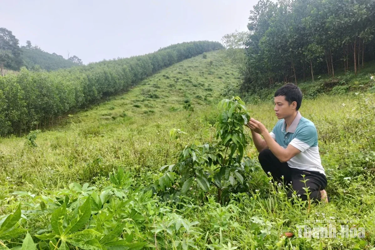 Bản Nàng Farm - hiện thực hóa khát vọng làm giàu trên quê hương