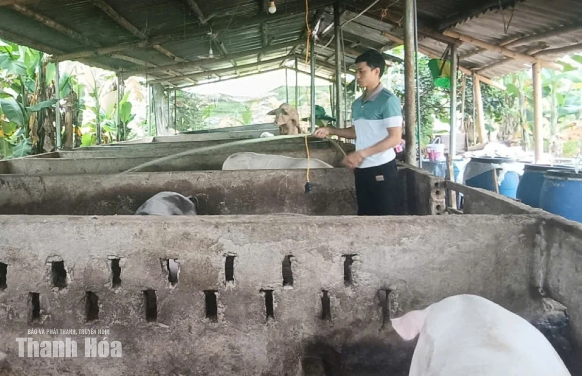 Bản Nàng Farm - hiện thực hóa khát vọng làm giàu trên quê hương