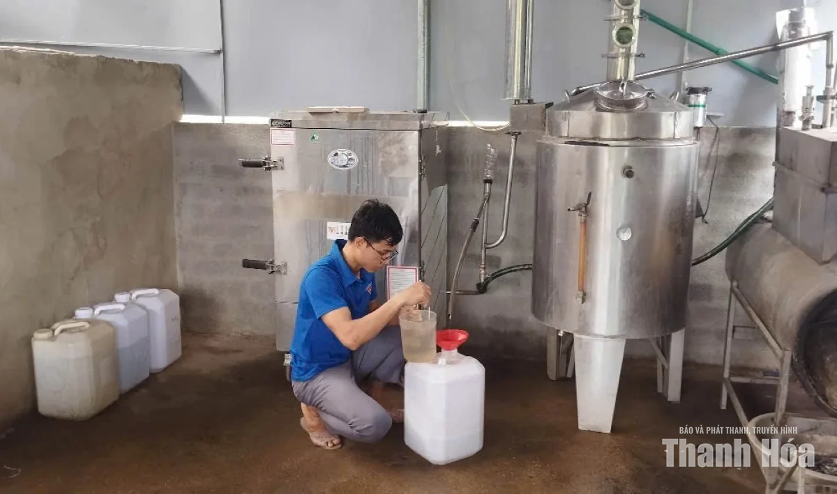 Bản Nàng Farm - hiện thực hóa khát vọng làm giàu trên quê hương