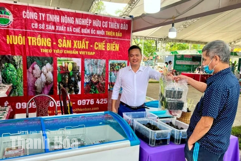 Từ ốc nhồi thành món ngon quê nhà