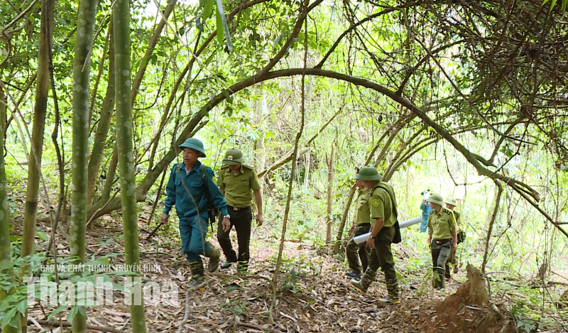 Chung tay giữ rừng từ mỗi bản làng