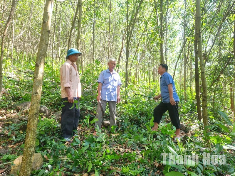 Chung tay giữ rừng từ mỗi bản làng