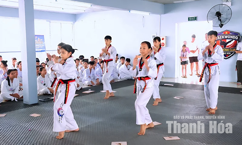 Taekwondo - rèn thể chất, luyện ý chí, dựng tính cách