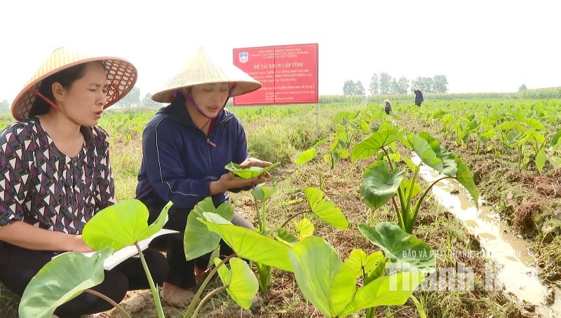 Khoa học trên đồng đất 