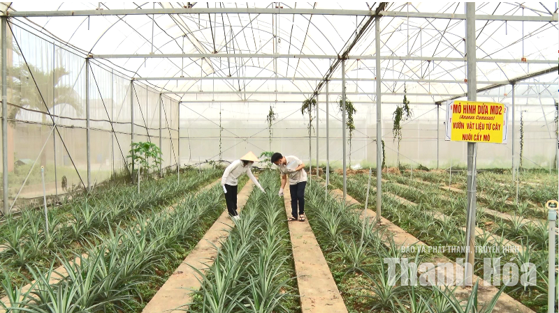Khoa học trên đồng đất 
