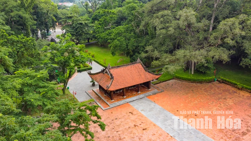 Cây đa - thị hơn 300 tuổi và mối lương duyên” kỳ lạ ở Lam Kinh