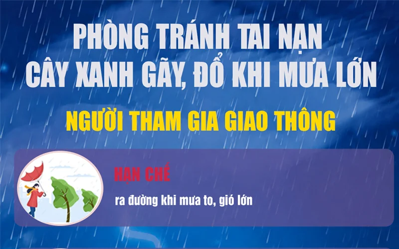 Phòng tránh tai nạn cây xanh gãy, đổ khi mưa lớn