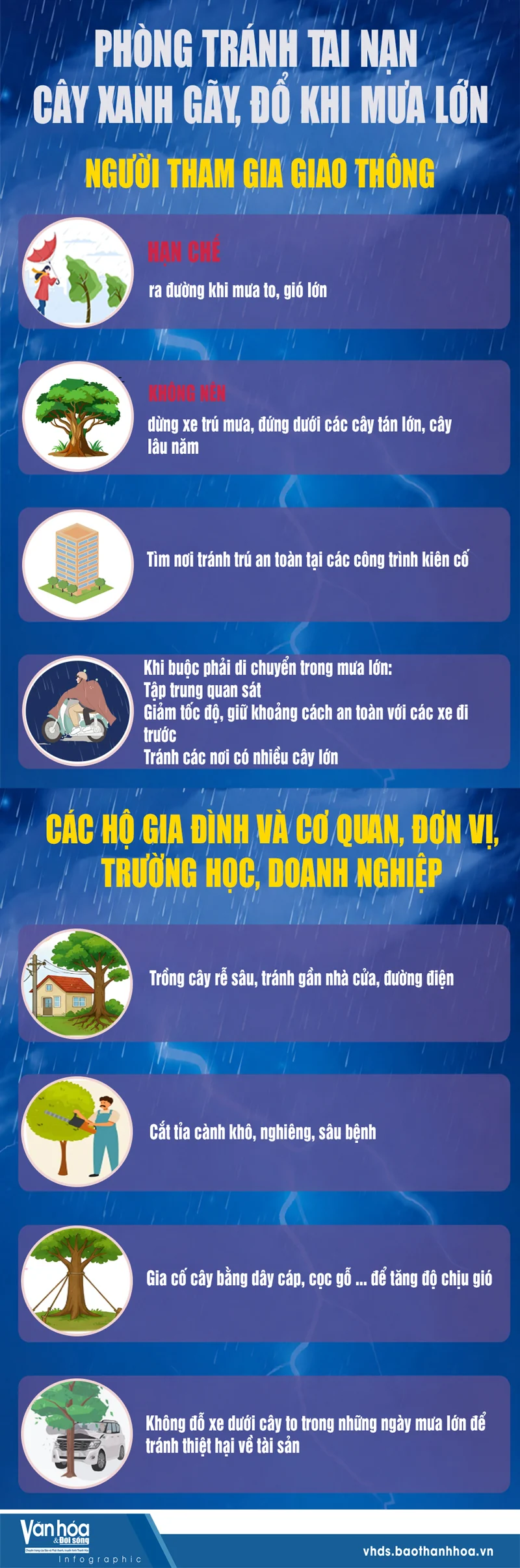 Phòng tránh tai nạn cây xanh gãy, đổ khi mưa lớn