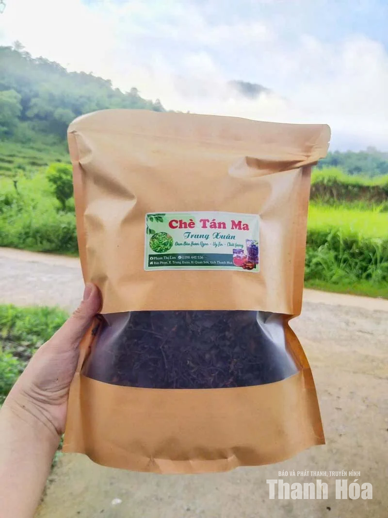 Chè tán ma trên đất Trung Xuân