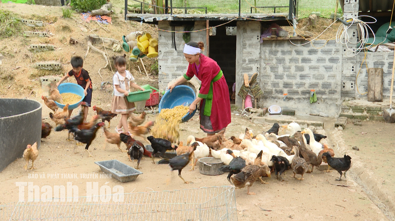 Từ điểm tựa đến sinh kế