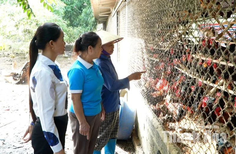 Nguồn vốn chính sách tiếp sức phụ nữ miền núi làm kinh tế