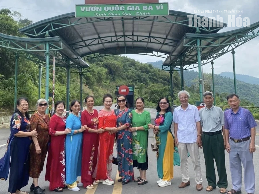 Niềm vui tuổi xế chiều