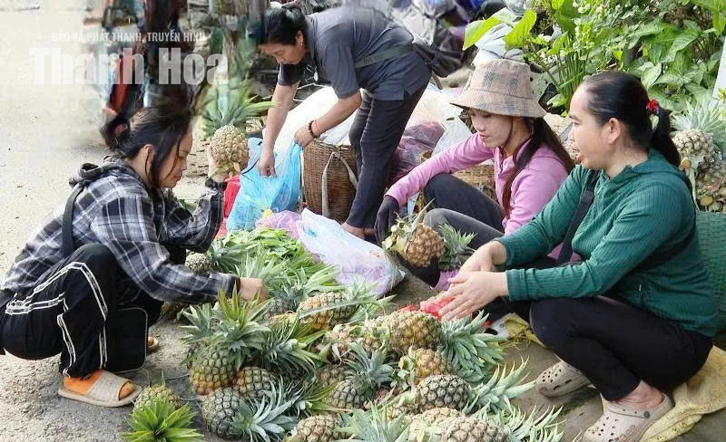 Mở hướng sinh kế, nối nhịp giao thương vùng biên