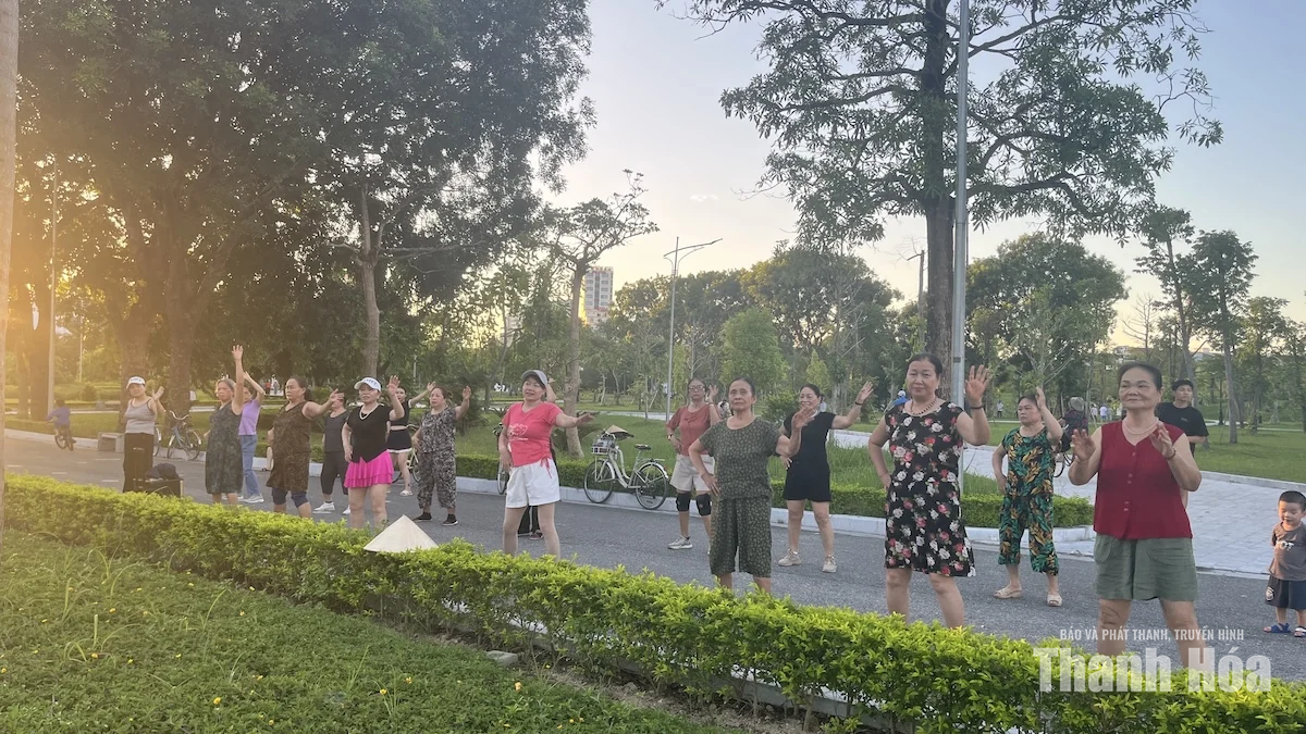 Niềm vui tuổi xế chiều