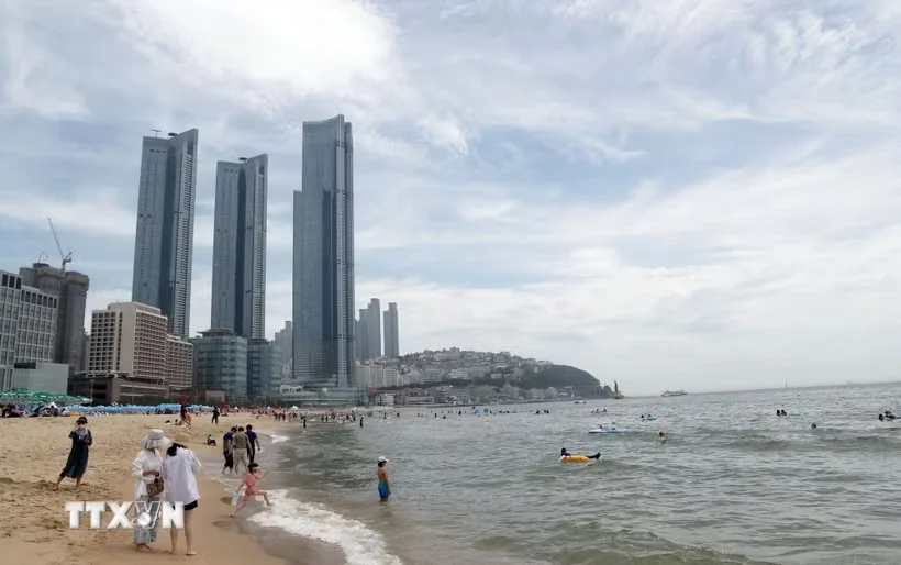 5 phim của Việt Nam dự Liên hoan phim Busan ở Hàn Quốc