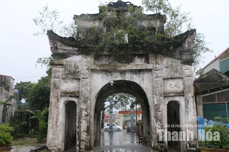 Đất làng Hoành Trung