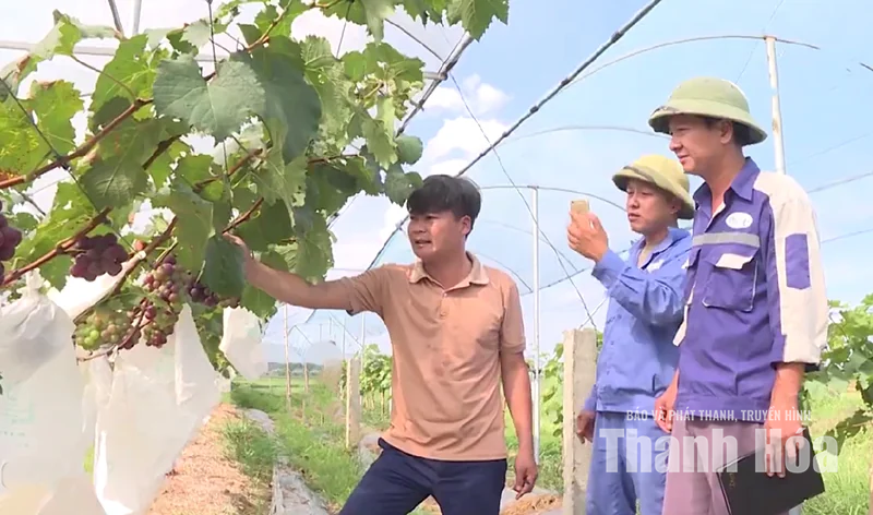 Khi công nghệ tiếp sức sinh kế