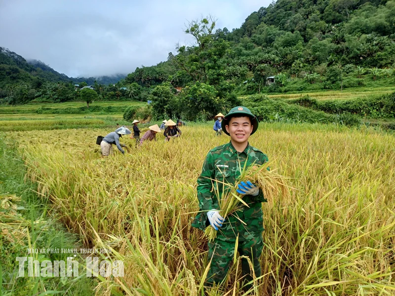 Màu xanh áo lính nơi mùa vàng Mường Mìn