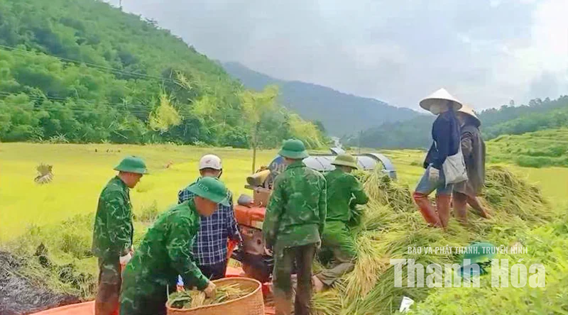 Màu xanh áo lính nơi mùa vàng Mường Mìn