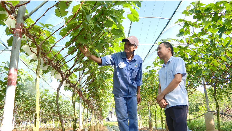 Khơi thông nguồn lực, tạo chuyển biến tích cực trong phát triển kinh tế
