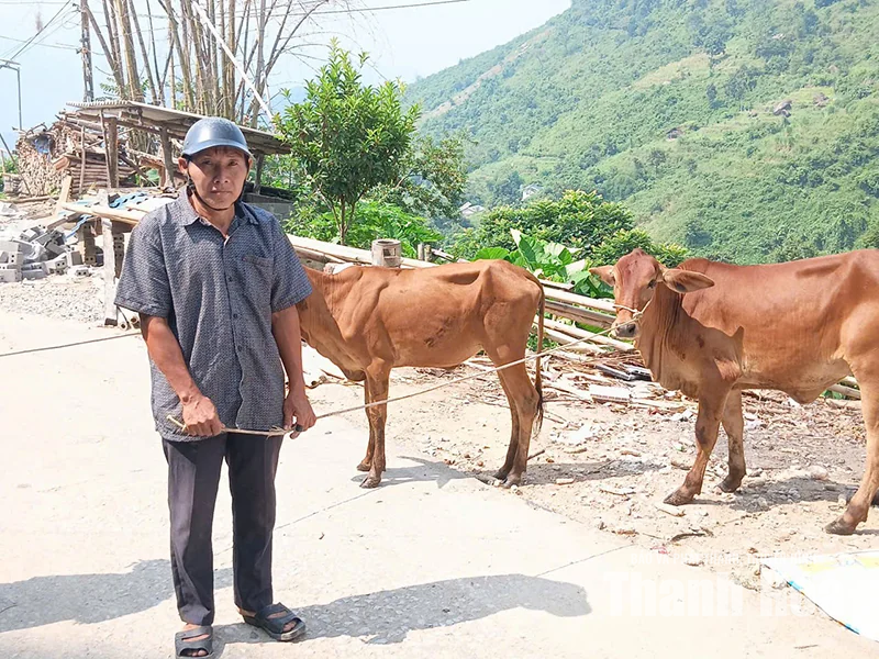 Gieo sinh kế giữa đại ngàn