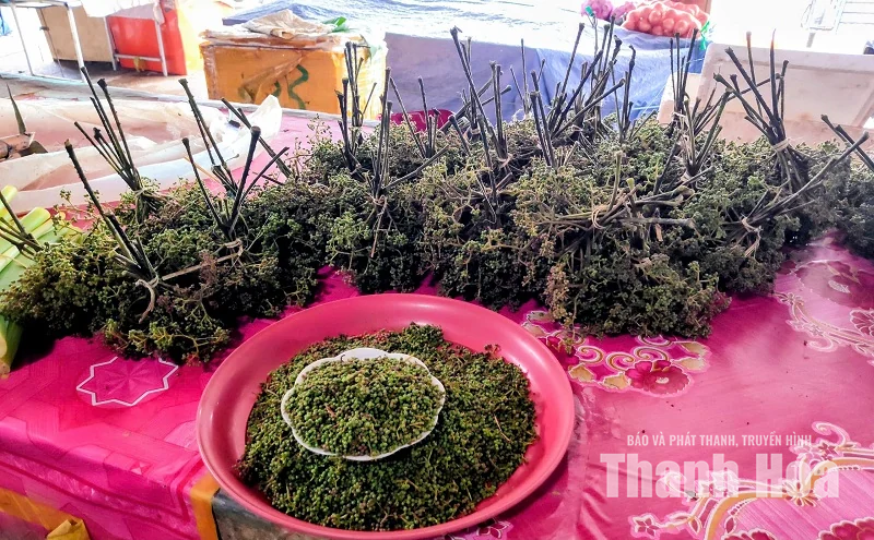 Độc đáo sản vật chợ Sầm Nưa