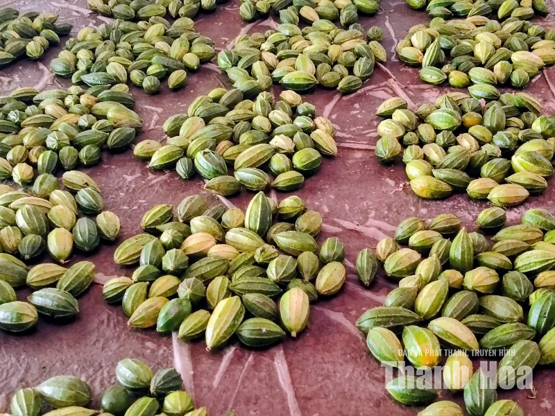 Độc đáo sản vật chợ Sầm Nưa