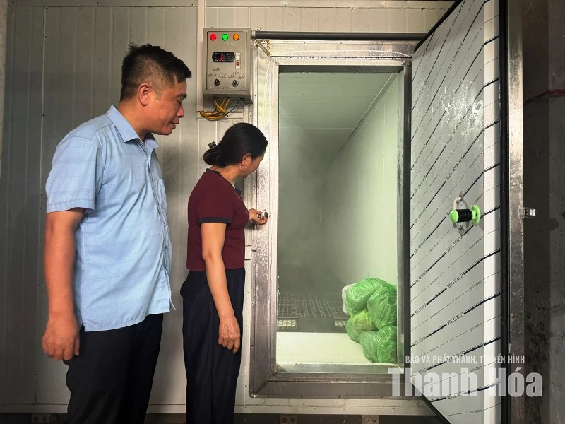 Xây dựng thương hiệu cho sản phẩm chả ốc nhồi ống lam Đồng Xanh