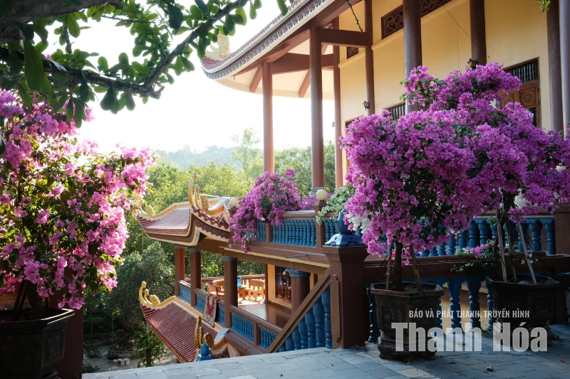 Dấu ấn Trúc Lâm trên đất Hàm Rồng