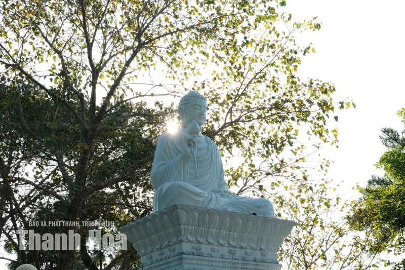 Dấu ấn Trúc Lâm trên đất Hàm Rồng