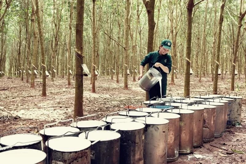 Ngày này năm xưa (28/10): Khai mạc kỳ họp thứ 2 Quốc hội Khóa I - Kỳ họp thông qua bản Hiến pháp đầu tiên của nước Việt Nam