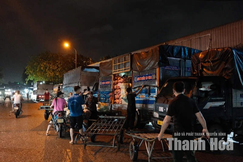 Hối hả những chuyến rau đêm
