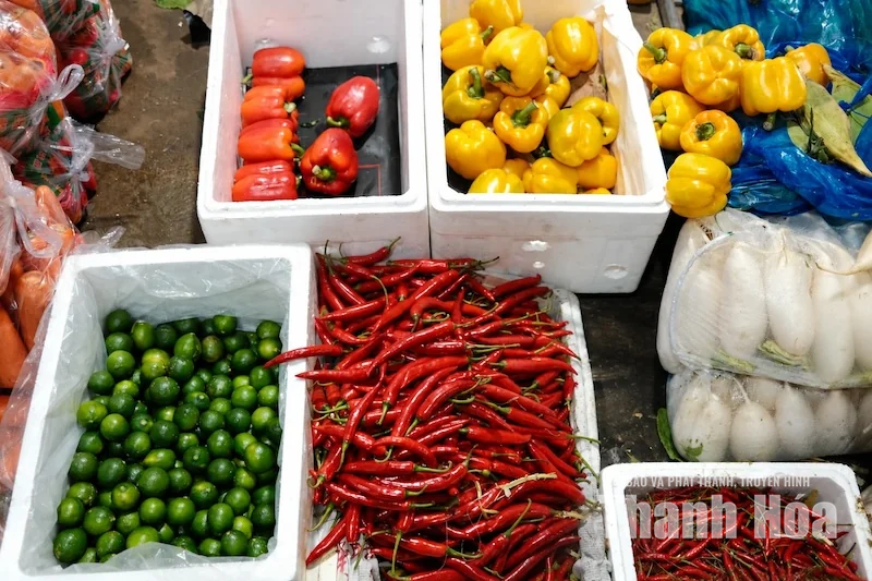 Hối hả những chuyến rau đêm