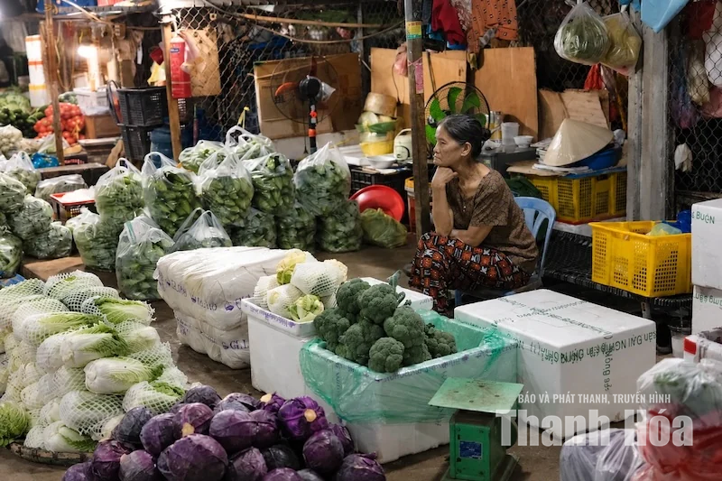 Hối hả những chuyến rau đêm