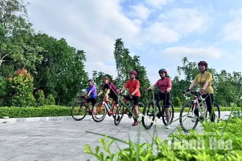 Về già phải vui