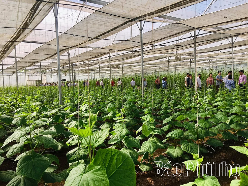 Đưa đặc sản địa phương vào chuỗi giá trị du lịch