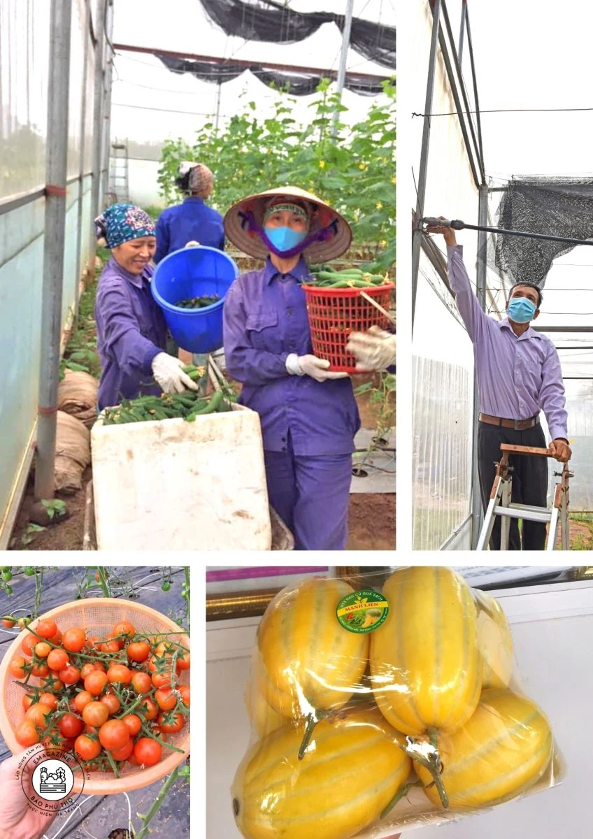 “Lão nông” tâm huyết với nông nghiệp sạch