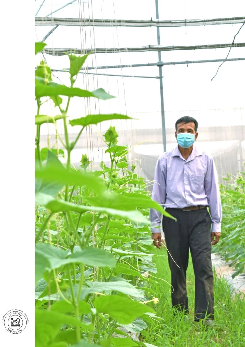 “Lão nông” tâm huyết với nông nghiệp sạch