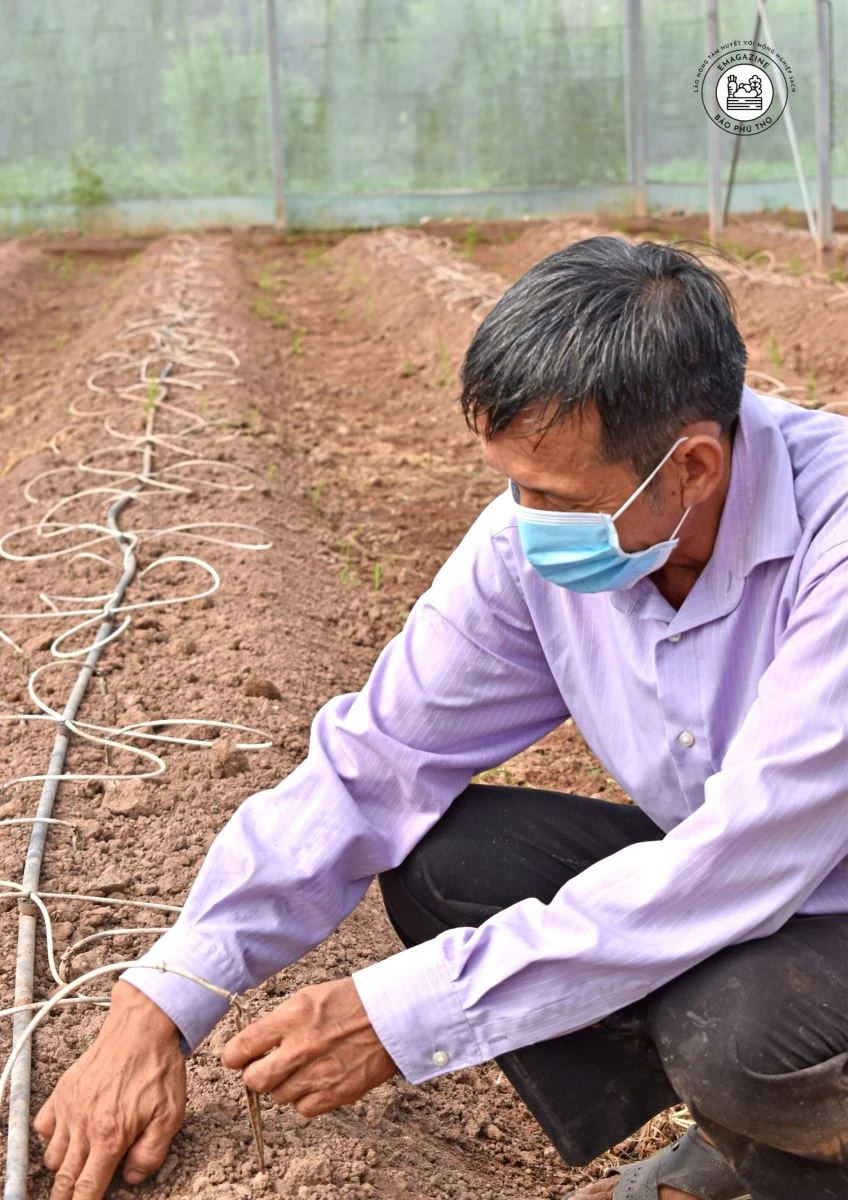 “Lão nông” tâm huyết với nông nghiệp sạch