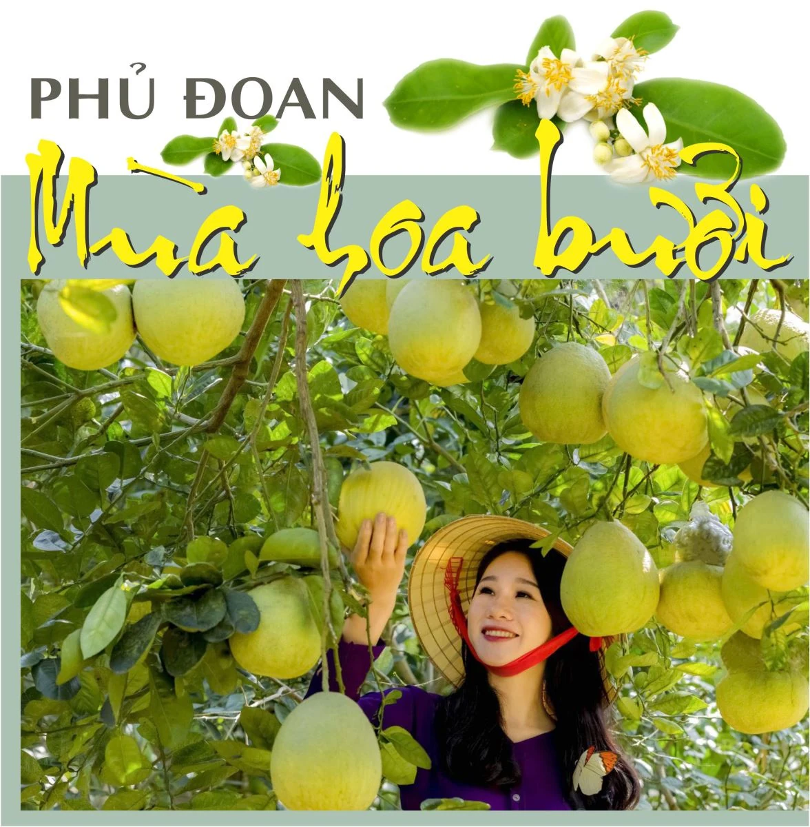 Phủ Đoan mùa hoa bưởi