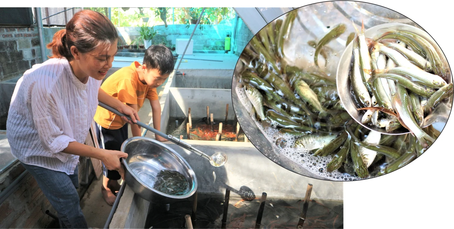 Độc lạ nghề nuôi côn trùng “hái vàng”