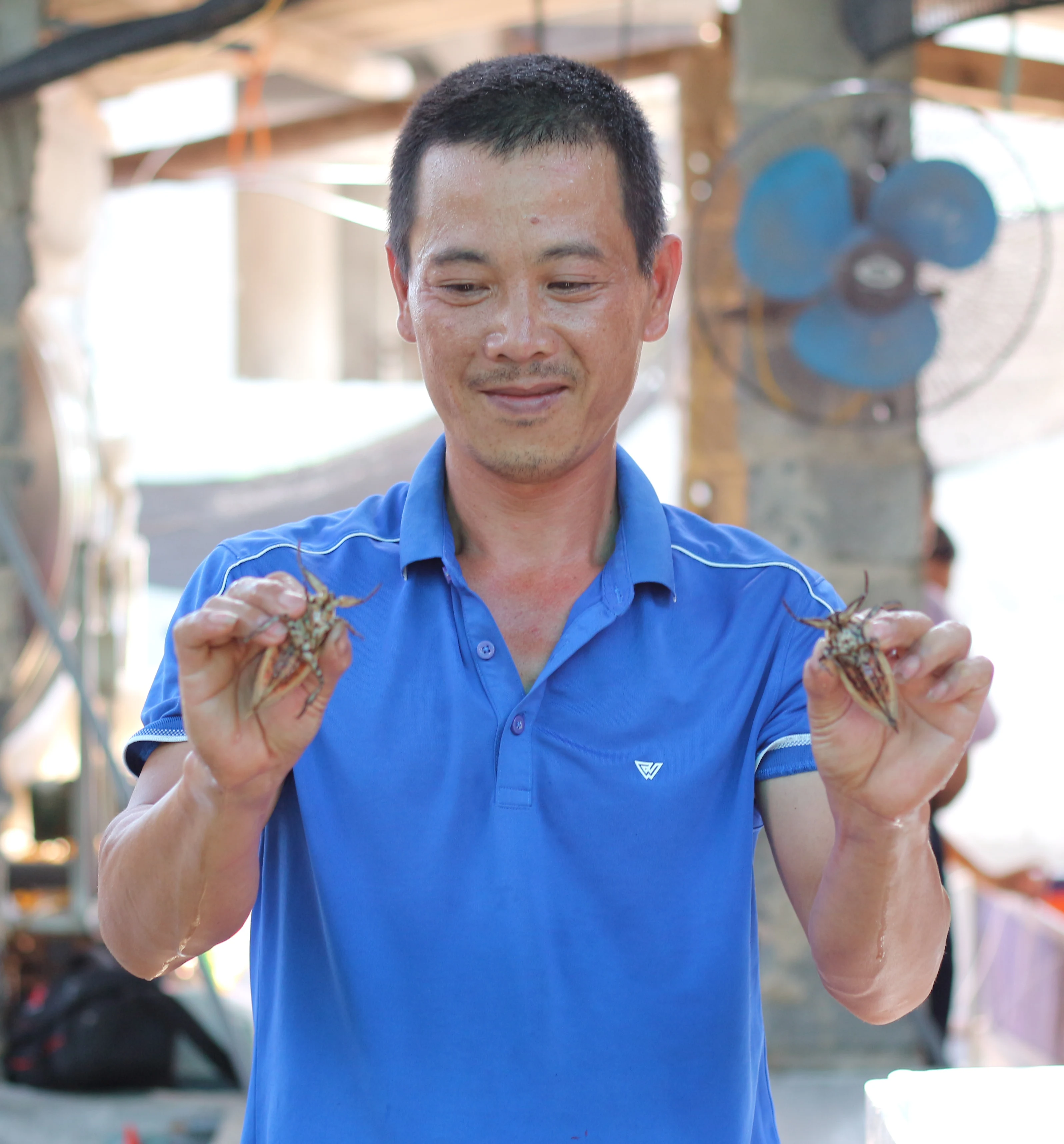 Độc lạ nghề nuôi côn trùng “hái vàng”