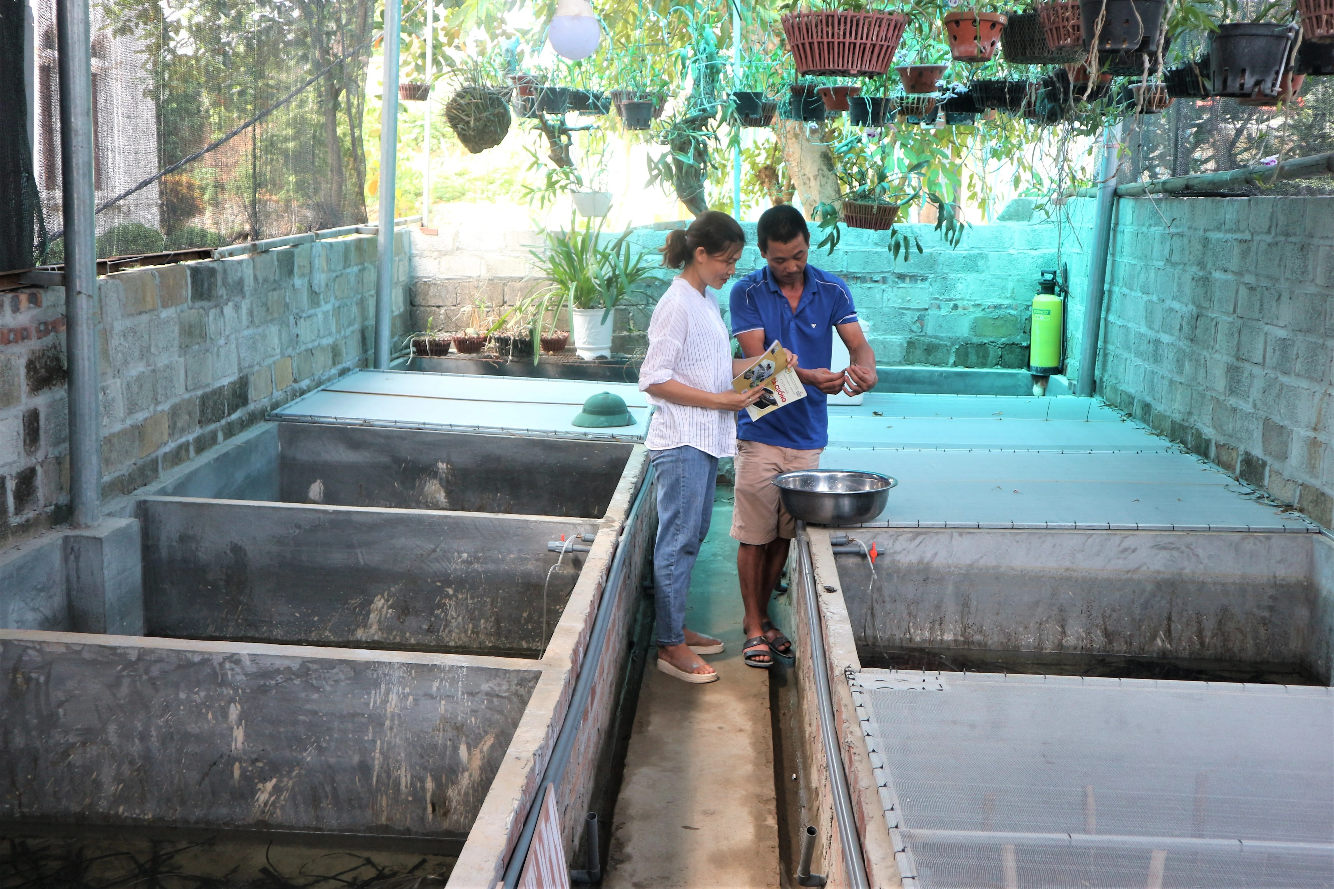 Độc lạ nghề nuôi côn trùng “hái vàng”